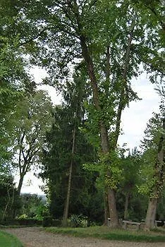 펜션 Castello Di Uviglie